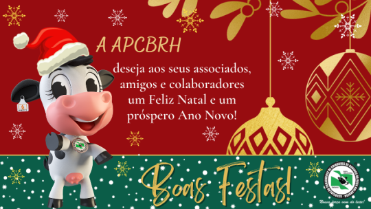 Feliz Ano Novo!